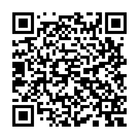 QR code for plate 13P 121
