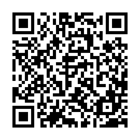 QR code for plate 13P 206
