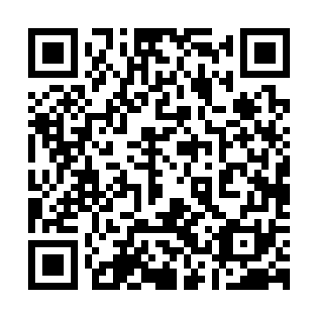QR code for 13P371