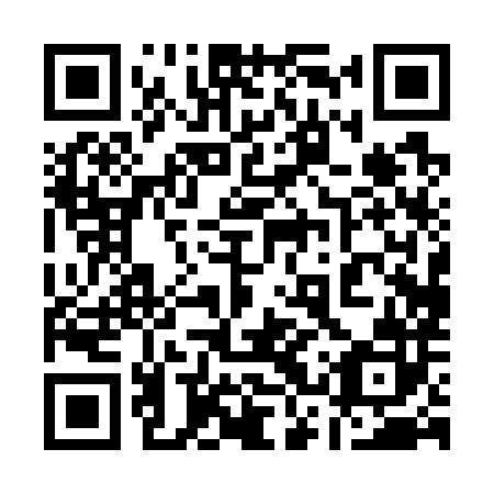 QR code for plate 13P 782