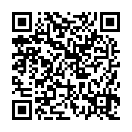 QR code for plate 13P 934