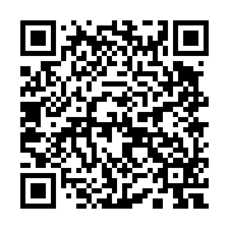 QR code for 13Q 496