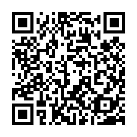 QR code for 13Q438