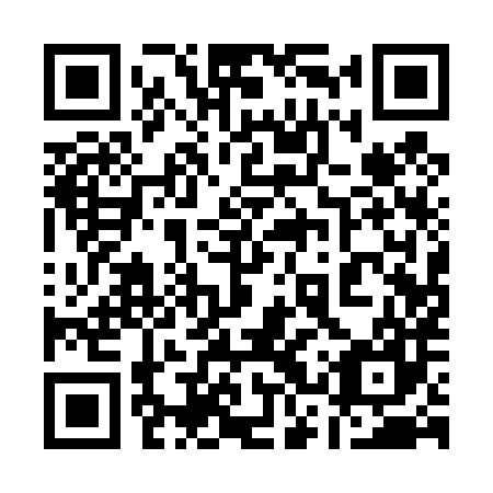 QR code for plate 13Q 487
