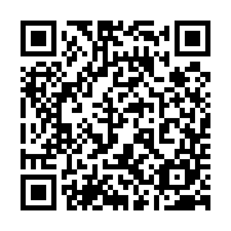 QR code for plate 13S 545