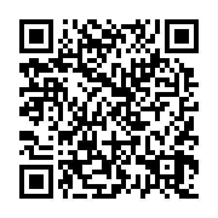 QR code for 13T 368
