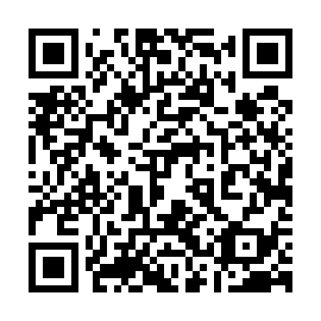 QR code for 13T 539