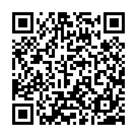 QR code for plate 13T 037