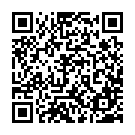QR code for plate 13T 386