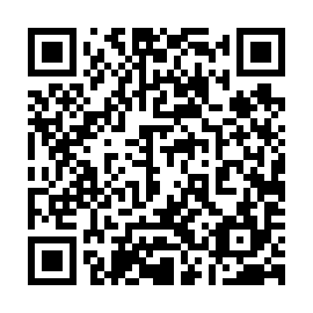 QR code for plate 13T 694