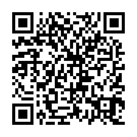 QR code for plate 13T 901