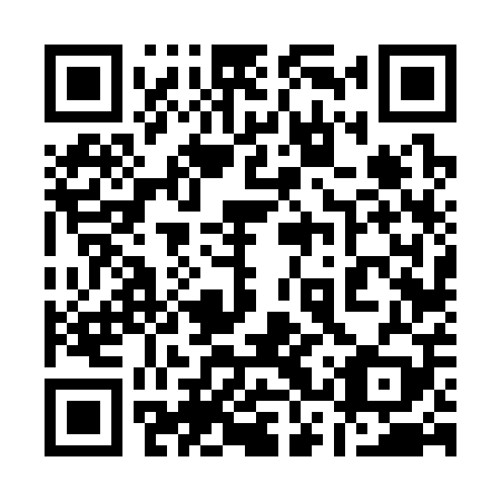 QR code for plate 13V 309