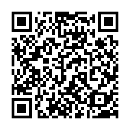 QR code for plate 13V 339