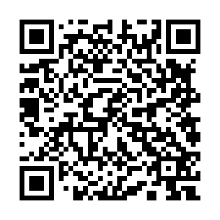 QR code for plate 13V 822