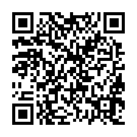 QR code for 13W 397