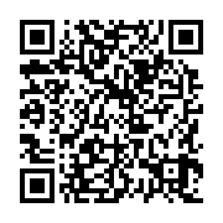 QR code for 13X 389