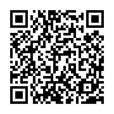 QR code for 13X 461