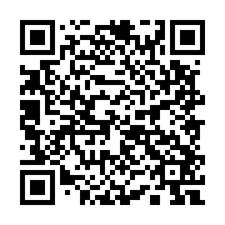 QR code for 13X 542