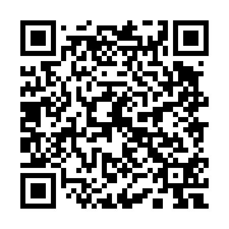 QR code for plate 13X 410