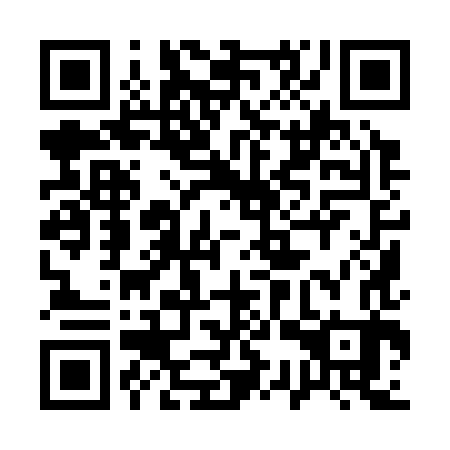 QR code for 13Y383