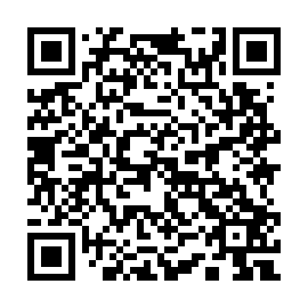 QR code for plate 13Y 703