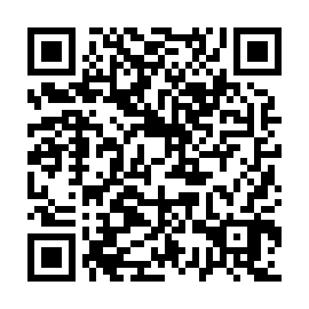 QR code for plate 13Z 802