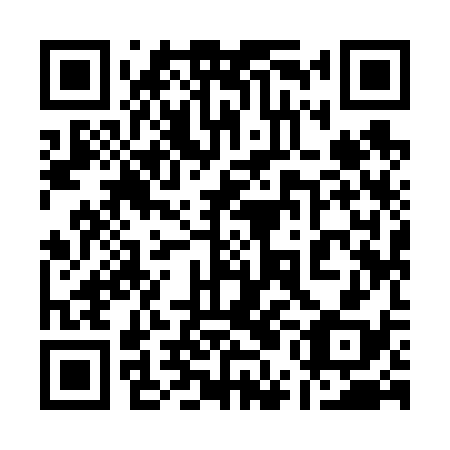 QR code for plate 15I 638