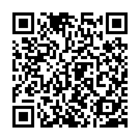 QR code for plate 15S 228
