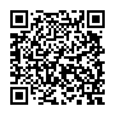 QR code for 15T 493