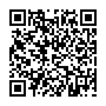 QR code for plate 16J 335