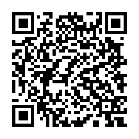 QR code for plate 16N 032