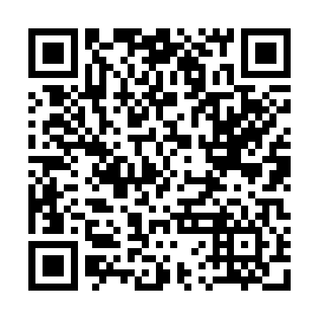 QR code for plate 16N 306