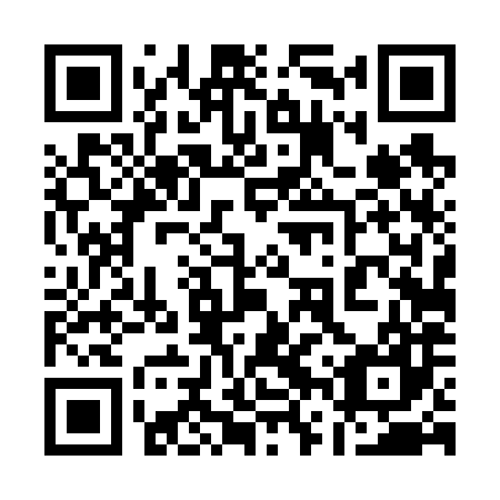 QR code for plate 16T 687