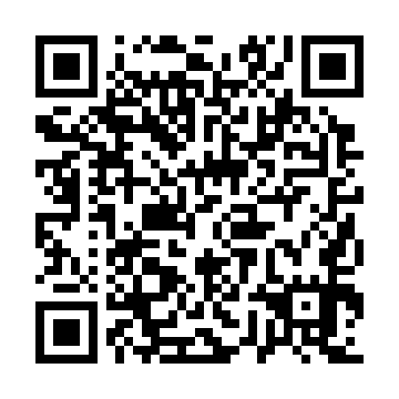 QR code for plate 17B 355