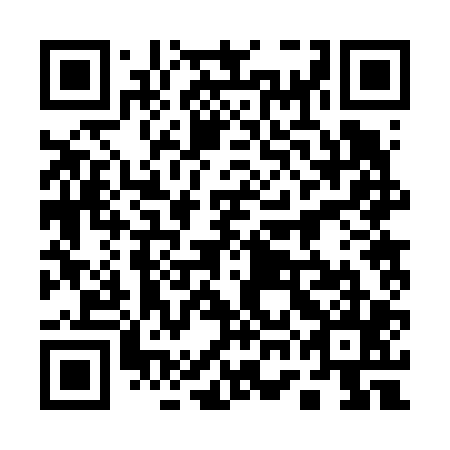QR code for plate 17B 605