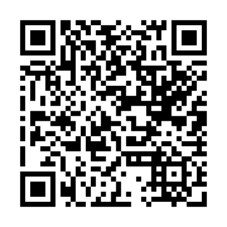 QR code for plate 17G 379