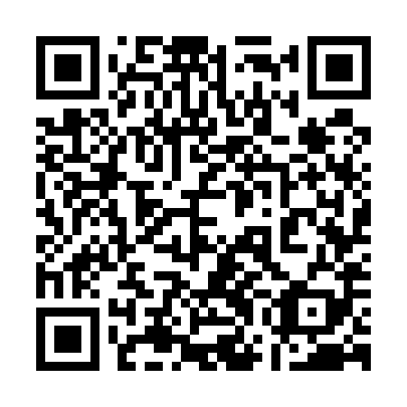 QR code for plate 17G 589
