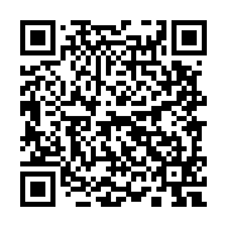 QR code for 17H 595