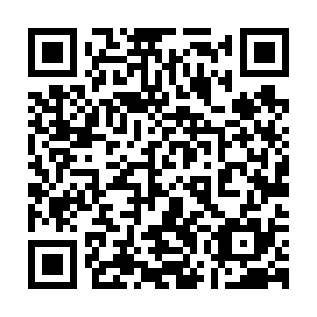QR code for plate 17L 635