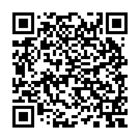 QR code for 17P 290
