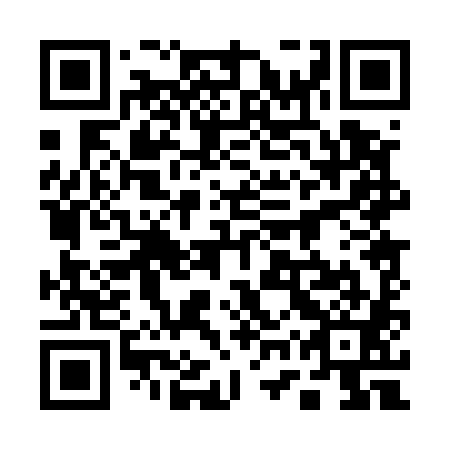 QR code for 17P 581