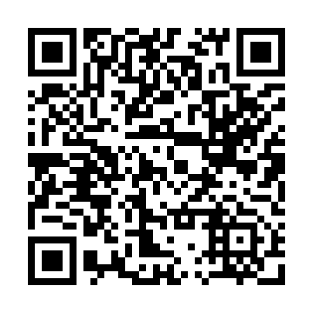 QR code for 17P 953