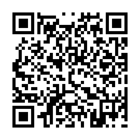QR code for 17P346