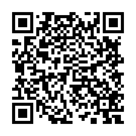 QR code for plate 17P 809