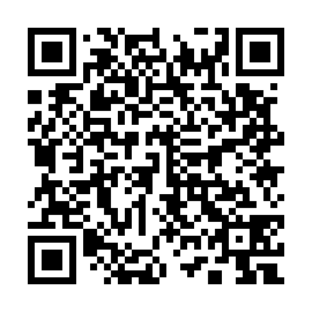 QR code for 17Q 538