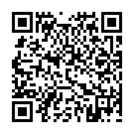 QR code for plate 17Q 195