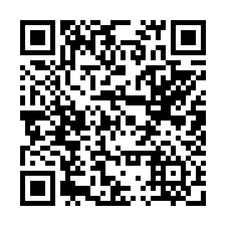 QR code for plate 17Q 634