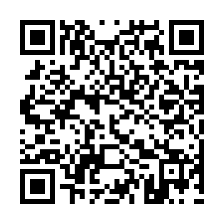 QR code for 17Q863