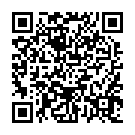 QR code for plate 17T 246
