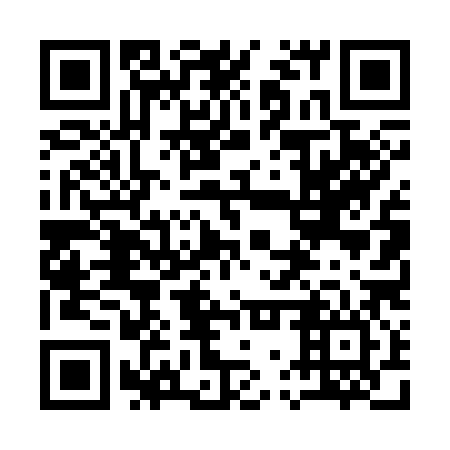 QR code for plate 17T 386